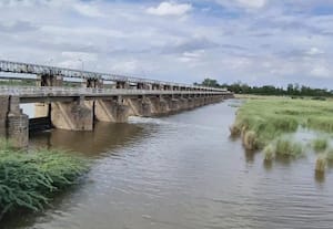 வைகை ஆற்று கால்வாய்களில் பராமரிப்பு பணி இல்லாததால் தண்ணீர்... வருது ஆனா வரல