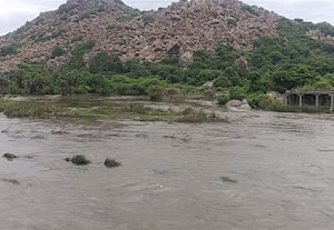 வெள்ள நீர் கடலில் கலந்து 30 டி.எம்.சி., தண்ணீர்...  வீண்; சங்கராபரணி ஆற்றில் புதிய அணைகள் கட்டப்படுமா?