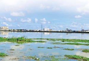 பறிபோகும் பள்ளிக்கரணை சதுப்பு நிலம்... விதிகளை மீறிய அதிகாரிகள்... நடவடிக்கை எடுப்பாரா முதல்வர்?