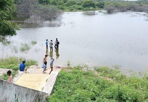 தாமரைக்குளத்தில் காத்திருக்கும் ஆபத்து