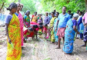 கமுதி அருகே ரோட்டில் நாற்று நடும் போராட்டம்
