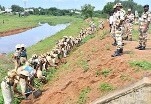 பனை விதை நடும் விழா