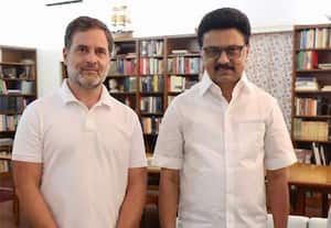ராகுலுக்கு என் மீது தனிப்பட்ட அன்பு: வார்த்தையால் சொல்ல முடியாது என்கிறார் முதல்வர் ஸ்டாலின்