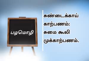  பழமொழி :  சுண்டைக்காய் காற்பணம்; சுமை கூலி முக்காற்பணம். 
