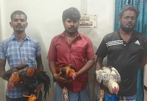 அனுமதியின்றி சேவல் சண்டை மூவர் கைது