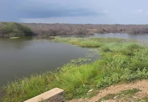 சிறு நீர்த்தேக்கங்களில் மீன் குஞ்சுகள் வளர்ப்போருக்கு.. ரூ.5000 மானியம் ;  உள்நாட்டு மீன் உற்பத்தியை அதிகரிப்பதற்கான திட்டம்