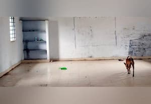 பராமரிப்பில்லாத சமுதாய கூடம் மதுக்கூடமாக மாறிய அவலம்