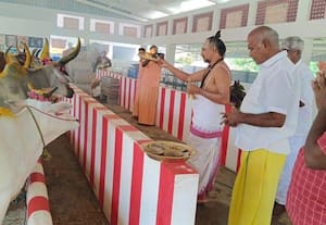 மாவட்டத்தில் 1008 இடங்களில் கோ பூஜை