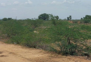 திசைமாறும் வரத்து நீர்; நிர்க்கதியில் நீர்நிலைகள்