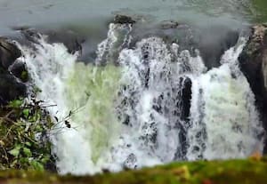  சுற்றுலா பயணியரை ஈர்க்கும் மதக மாசூரு நீர்வீழ்ச்சி