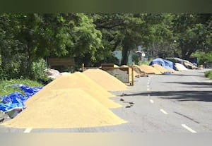 திருச்சியில் கொள்முதல் செய்தும் சாலையில் தேங்கி கிடக்கும் நெல்