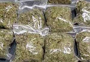 கஞ்சா கடத்தலில் சர்வதேச கும்பல்: பிடிக்க முடியாமல் சுங்கத்துறை திணறல்