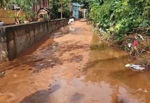 சுள்ளக்கரை ஓடையை அகலப்படுத்தி தடுப்புச்சுவர் அமைக்க வலியுறுத்தல் - கூடலுாரில் சேதத்தை தவிர்க்க நடவடிக்கை தேவை