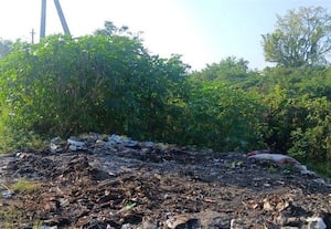 குப்பைக்கழிவு எரிக்கப்பட்ட இடத்தை சுத்தம் செய்த துாய்மைப்பணியாளர்கள்