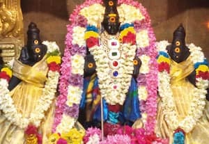சுப்பிரமணியர் கோயிலில் விமான பாலாலய பூஜை