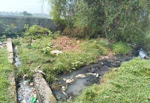 கூடலுாரில் கோவில் அருகே தேங்கும் கழிவுநீரை அகற்ற கோரிக்கை