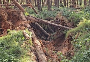 'கொடை' கிளாவரையில் நிலப்பிளவு குடிநீர் தட்டுப்பாடால் மக்கள் அவதி