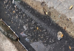 புகார் பெட்டி புதுச்சேரி