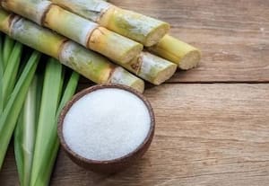 சர்க்கரை உற்பத்தி 16சதவீதம்  உயர வாய்ப்பு