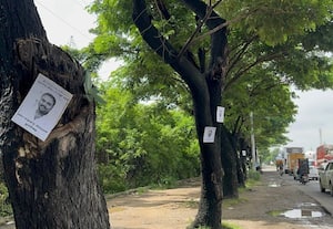 சாலையோர மரங்களில் ஆணி அடித்து விளம்பரம் செய்வதை தடுக்க கோரிக்கை