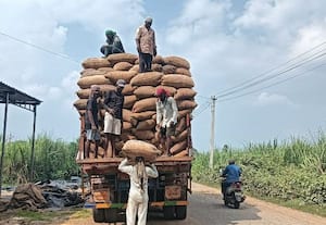 மழை இல்லாததால் நெல் கொள்முதல் பணிகள் துரிதம்