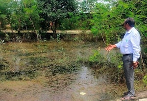 கொசு உற்பத்தியாகும் இடமாக மாறிய திடக்கழிவு மேலாண்மை திட்ட கிடங்கு உதவி இயக்குநர் அதிர்ச்சி