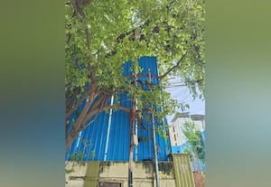 கும்மிருட்டில் பத்மாவதியார் சாலை மாநகராட்சி வெளிச்சம் கொடுக்குமா?