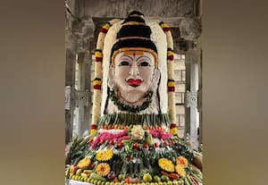 சிவன் கோயில்களில் அன்னாபிஷேகம்