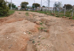 நாச்சிபாளையம்: நடக்கக்கூட முடியாது அவல நிலையில் ரோடு