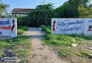 கொடுவாய்- சுடுகாடு தெரியாத அளவுக்கு முட்புதர்கள்