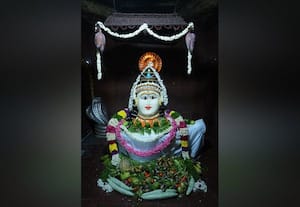 கைலாசநாதர் கோவிலில் அன்னாபிஷேகம்