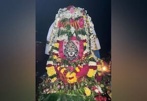 சிவாலயங்களில் அன்னாபிஷேக விழா