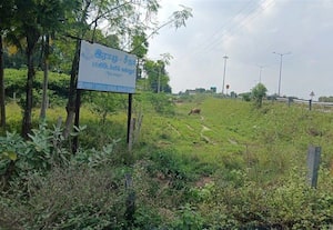 விபத்தை தவிர்க்க நரிக்குடி சர்வீஸ் ரோடு பயன்பாட்டிற்கு கொண்டு வரப்படுமா