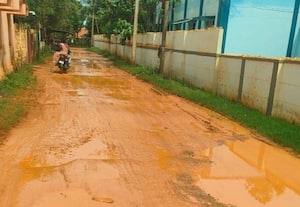 புளியால் பள்ளி ரோடு சீரமைக்க கோரிக்கை