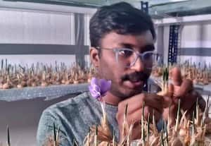  வீட்டில் குங்குமப்பூ செடி வளர்க்கும் ஐ.டி., ஊழியர்