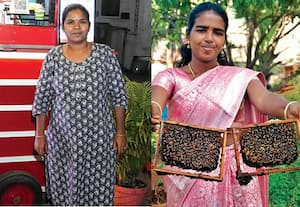 பெரிய முதலீடு இல்லாத கேக் வியாபாரம்!:   தரமாக கொடுத்தால் வியாபாரத்தில் வெற்றி நிச்சயம்!