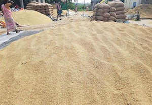 கொள்முதல் தாமதம்: விவசாயிகள் வேதனை