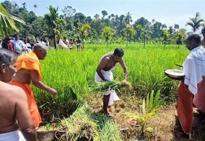 கிராமத்தில் நெற்கதிர் அறுவடை திருவிழா: பாரம்பரிய பூஜையுடன் பழங்குடியினர் வழிபாடு