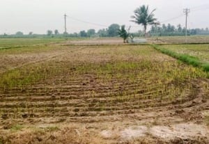 எஸ். ஆர் பணியில் ஈடுபடும் விஏஓக்களால் தவிக்கும் விவசாயிகள்...: பயிர் காப்பீட்டுக்கான அடங்கல் பெறுவதில் சிரமம்.