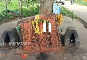 பெண்கள் வணங்கும் புளிய மரத்தடி துர்க்கை