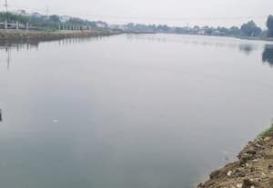 அரைகுறை பணி: நீர் நிறைந்த செவல் கண்மாய்