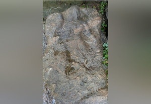 செஞ்சி அருகே பழங்கால சிற்பங்கள் கண்டுபிடிப்பு