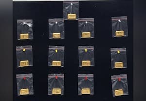 ரூ.1.60 கோடி தங்க கட்டிகள் 'ஆட்டை' போட்ட 2 பேர்