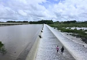 26 படுகை அணைகள் கட்டியதற்கு கைமேல் பலன்! சராசரி மழைக்கே நிரம்பிவிட்டன﻿