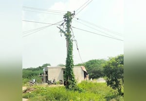 ﻿ கொடிமரமாக மாறிய மின்கம்பம் மின்வாரிய ஊழியர்கள் அலட்சியம்