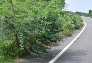 இன்றைய நிகழ்ச்சி: சிவகங்கை..