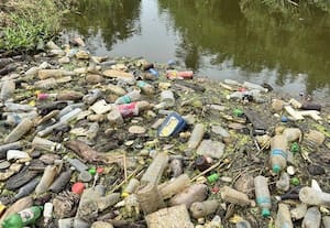 ﻿ கண்மாய்களில் சேரும் பிளாஸ்டிக் கழிவு