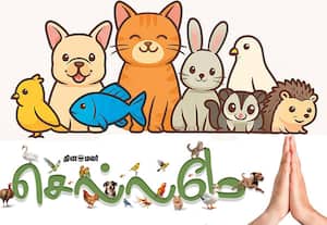 செல்லமே 100வது வாரம்! உங்களுக்கு நன்றி!!!