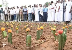 செம்மொழி பூங்காவை திறக்க அரசு அவசரம்: நெருக்கடிக்கு இடையே வேலைபார்க்கும் அதிகாரிகள்