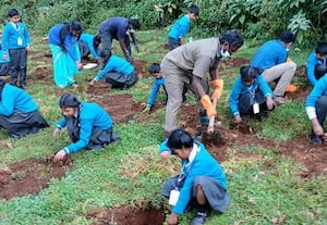 ராணுவ முகாமில் இயற்கை மீட்புக்கு﻿ முயற்சி! 1,000 சோலை மரக்கன்று நடவு பணி